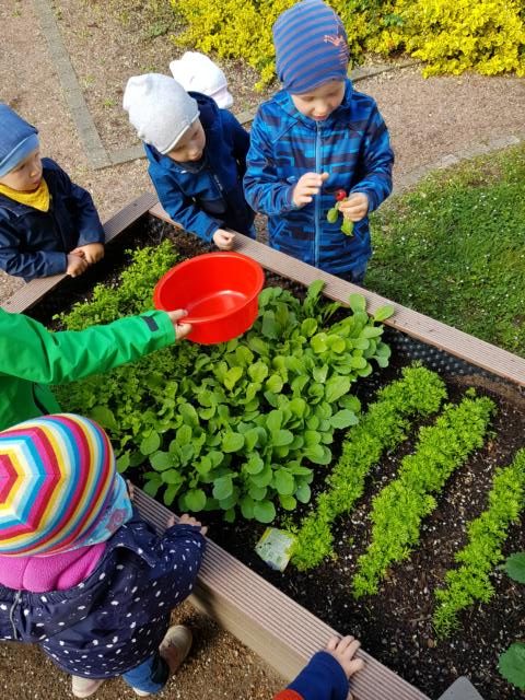 20200505 094324 Rotated