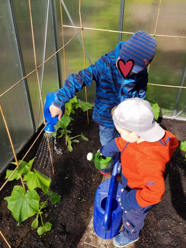 20200507 064835 768x1024