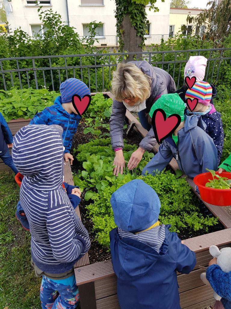 20200507 065222 768x1024