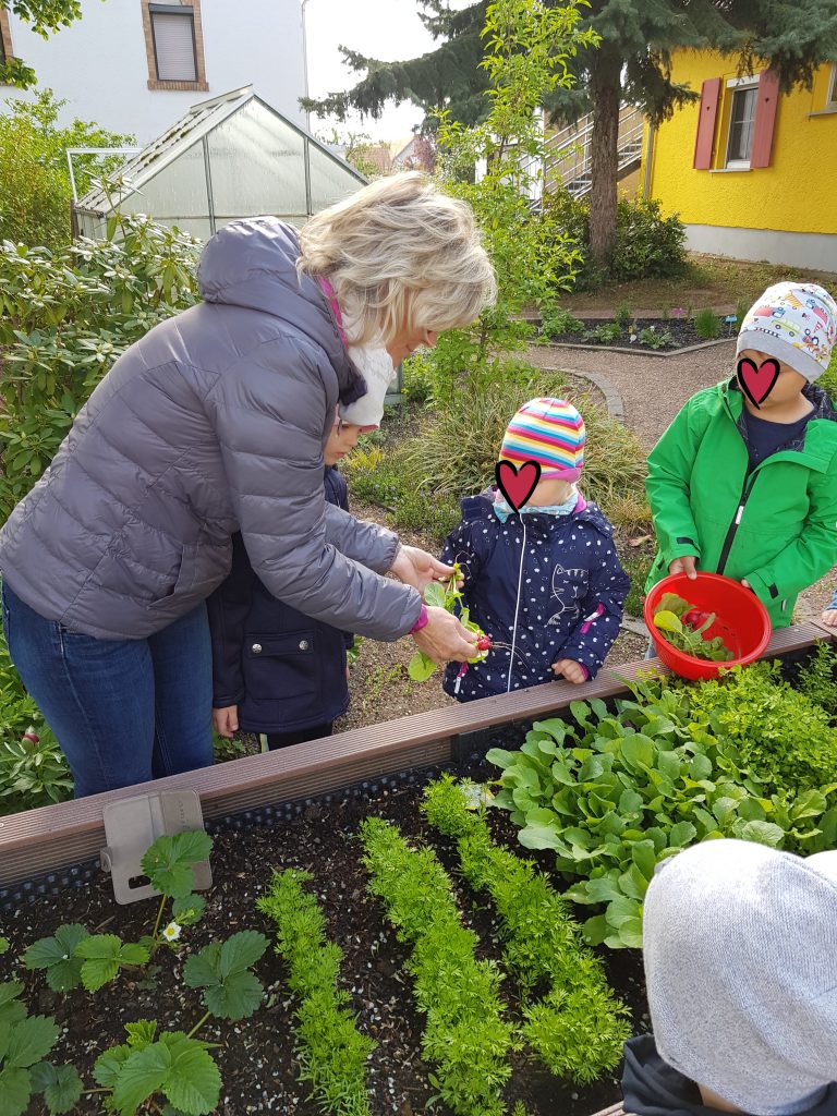 20200507 065310 768x1024