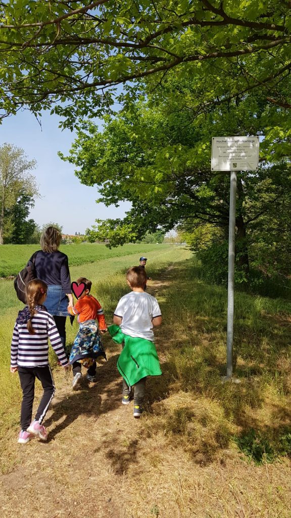 20200510 185705 576x1024